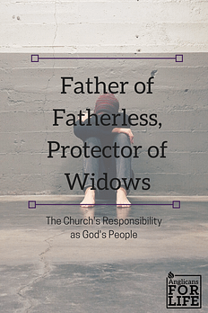 Protector of Fatherless blog post