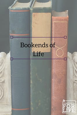 bookend of life blog pin