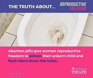 Abortion pills given women reproductive freedom to poison their unborn child and flush them down the toilet.