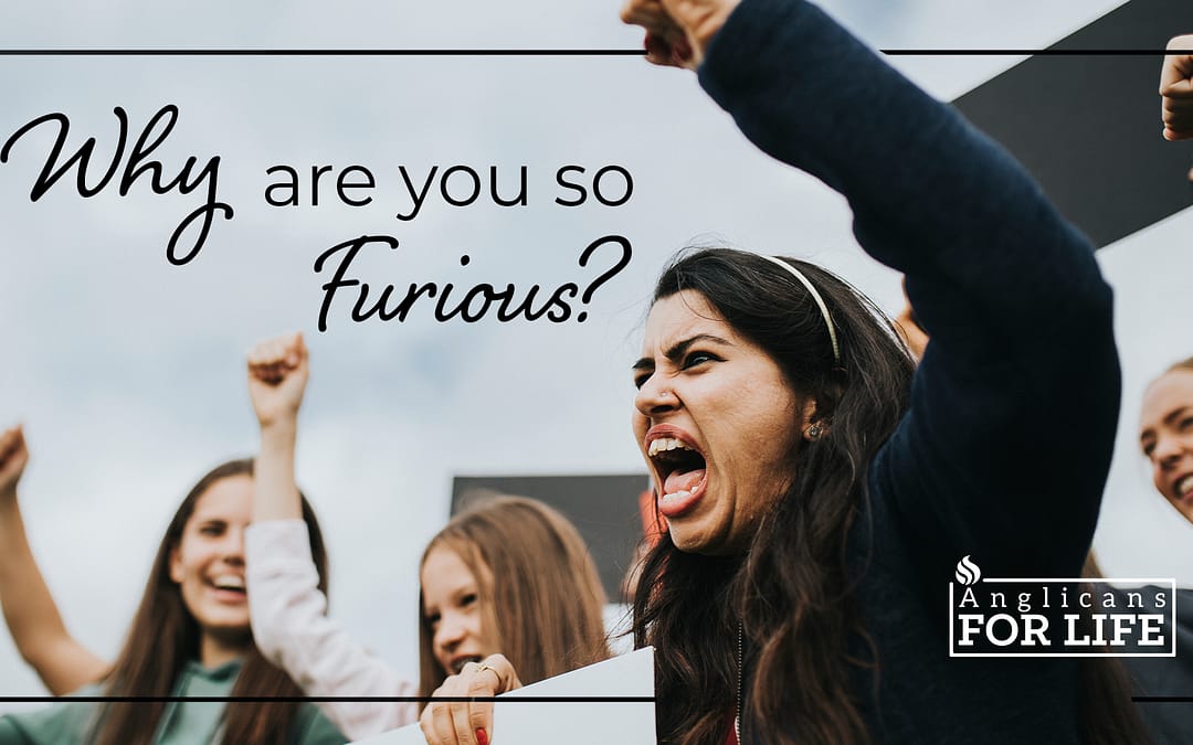 Why are You So Furious?