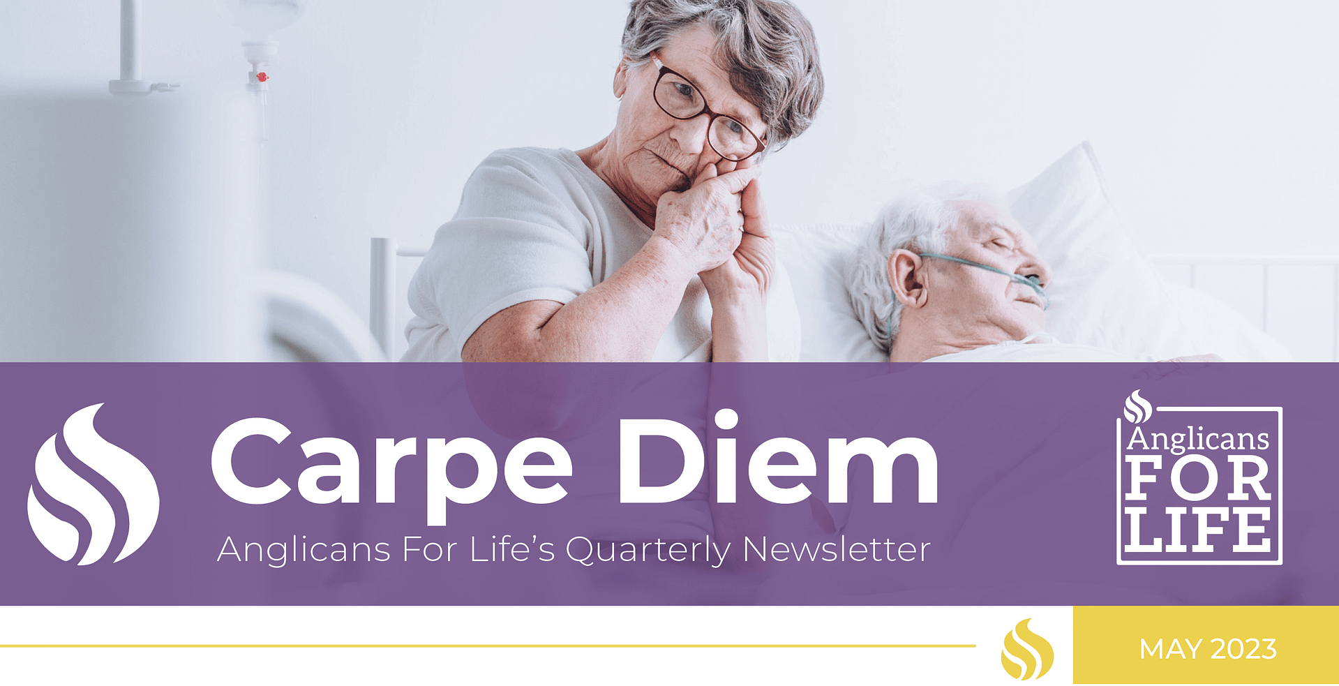 Carpe Diem Newsletter Header