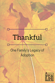 Thanksgiving Adoption blog post
