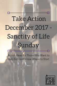 Sanctity of Life Sunday Take Action blog