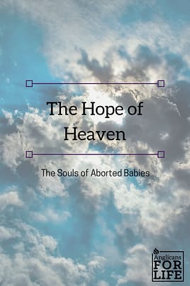 hope of heaven souls of aborted children blog post