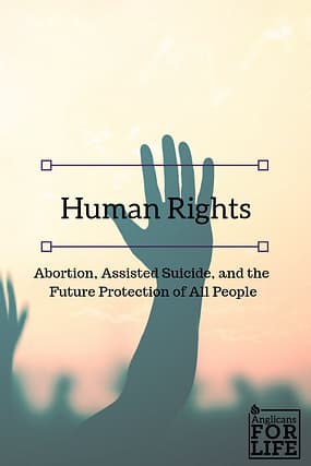 human rights blog